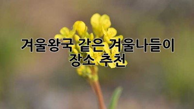 겨울왕국 같은 겨울나들이 장소 추천! ✨